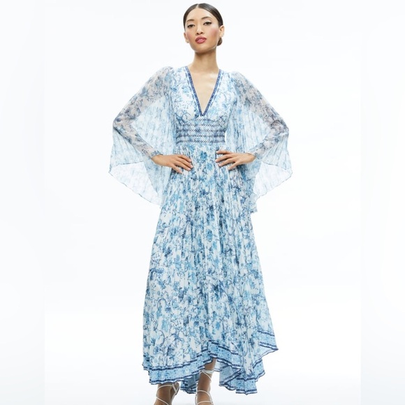 Alice and Olivia SION SUNBURST PLEATED MAXI DRESS New Season - Picture 1 of 10